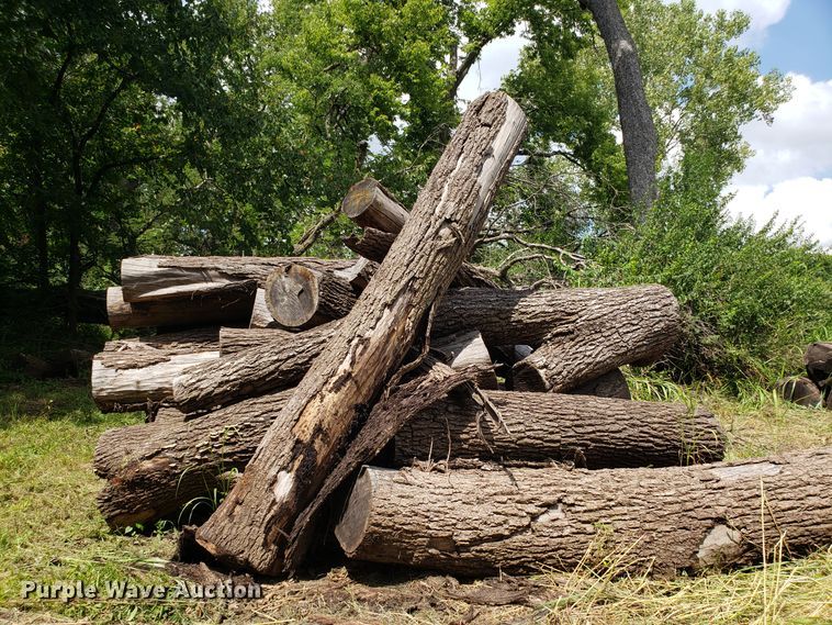 image for item ET9889 Approximately 55 walnut logs
