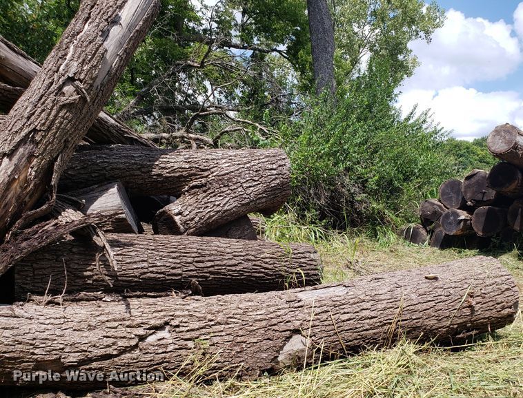 image for item ET9889 Approximately 55 walnut logs