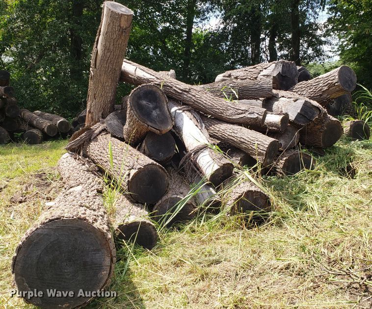 image for item ET9889 Approximately 55 walnut logs