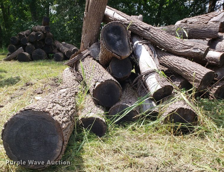 image for item ET9889 Approximately 55 walnut logs