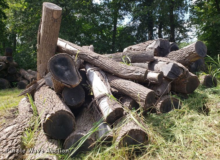 image for item ET9889 Approximately 55 walnut logs