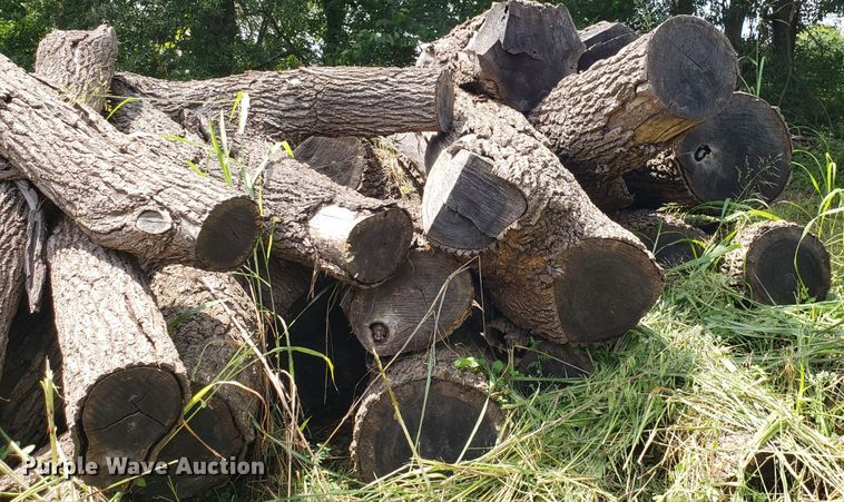 image for item ET9889 Approximately 55 walnut logs