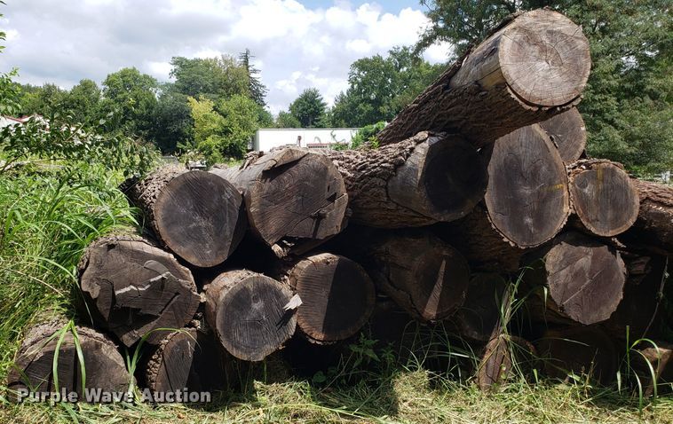 image for item ET9889 Approximately 55 walnut logs