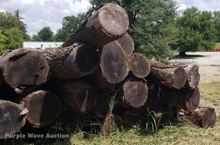 image for item ET9889 Approximately 55 walnut logs