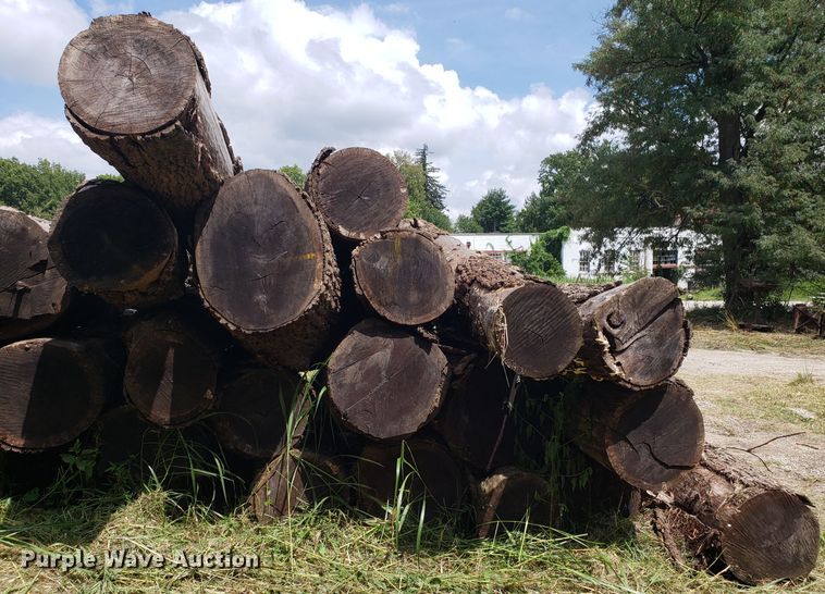 image for item ET9889 Approximately 55 walnut logs