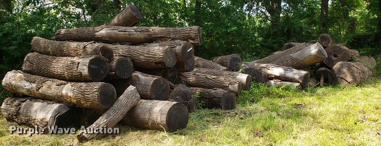 image for item ET9890 Approximately 45 walnut logs