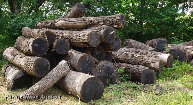 image for item ET9890 Approximately 45 walnut logs