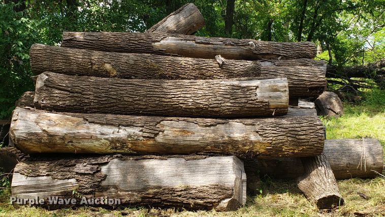 image for item ET9890 Approximately 45 walnut logs