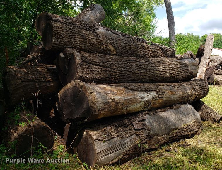 image for item ET9890 Approximately 45 walnut logs
