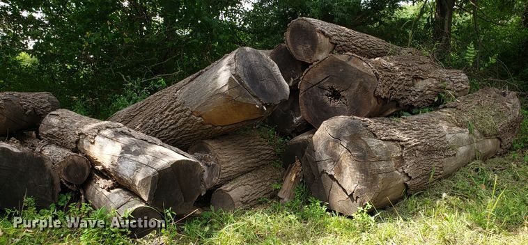 image for item ET9890 Approximately 45 walnut logs