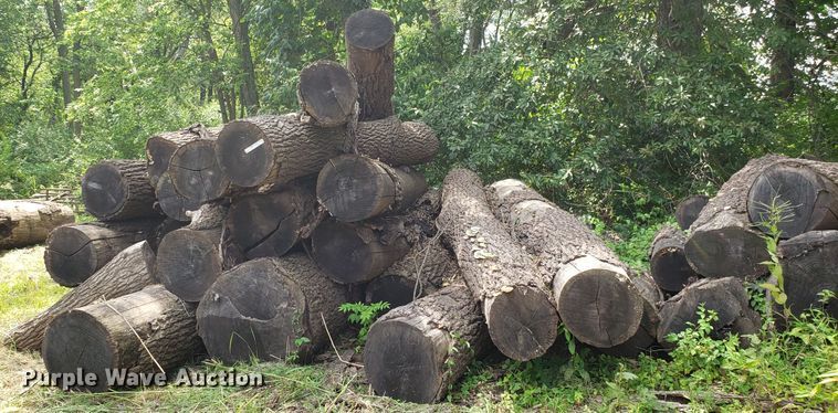 image for item ET9890 Approximately 45 walnut logs