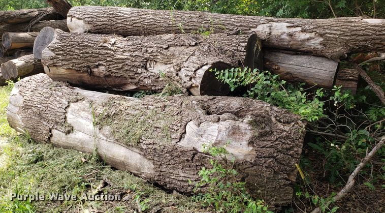 image for item ET9890 Approximately 45 walnut logs