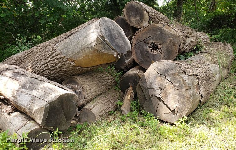 image for item ET9890 Approximately 45 walnut logs