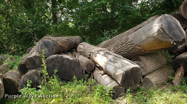 image for item ET9890 Approximately 45 walnut logs