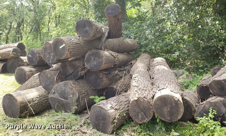 image for item ET9890 Approximately 45 walnut logs