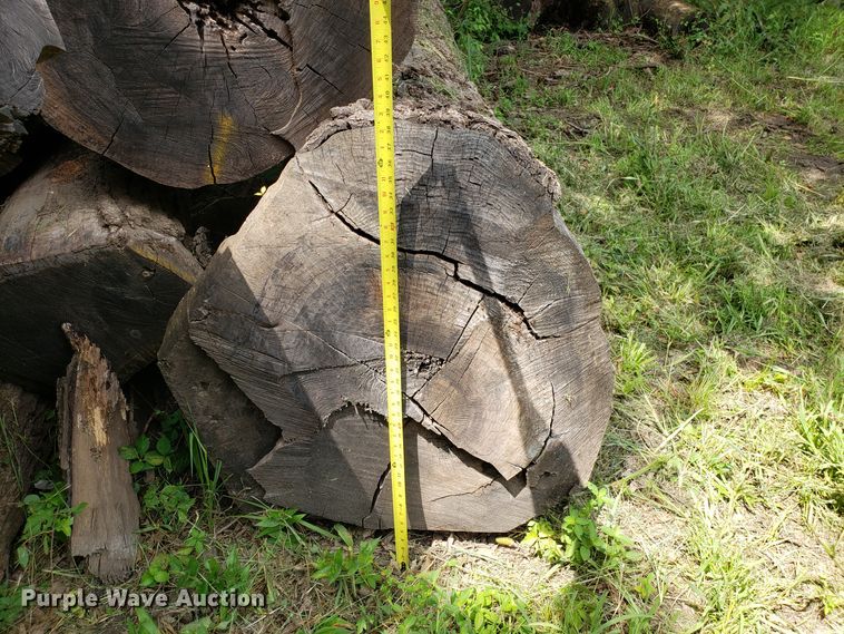 image for item ET9890 Approximately 45 walnut logs