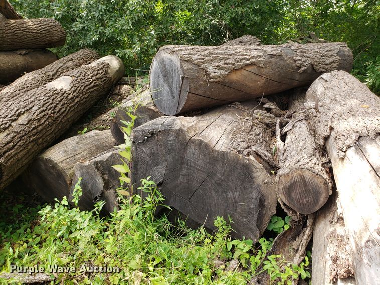 image for item ET9890 Approximately 45 walnut logs