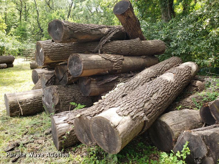 image for item ET9890 Approximately 45 walnut logs
