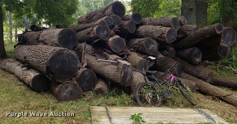 image for item ET9892 Approximately 85 walnut logs