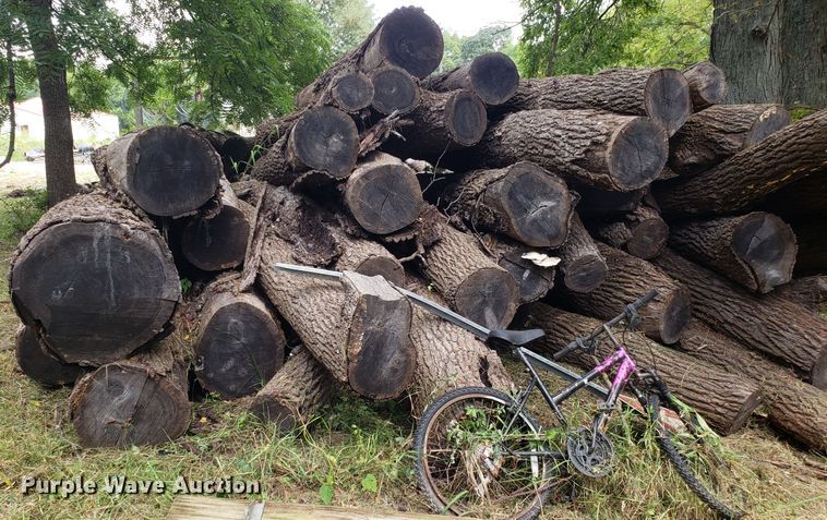 image for item ET9892 Approximately 85 walnut logs