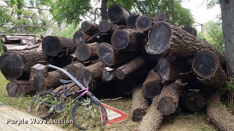 image for item ET9892 Approximately 85 walnut logs