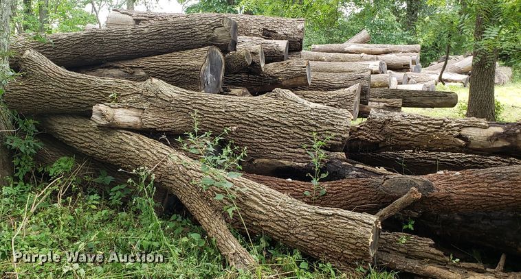 image for item ET9892 Approximately 85 walnut logs