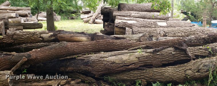 image for item ET9892 Approximately 85 walnut logs