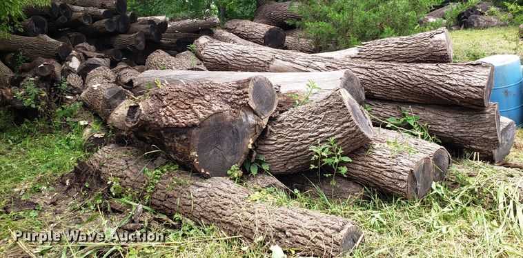 image for item ET9892 Approximately 85 walnut logs