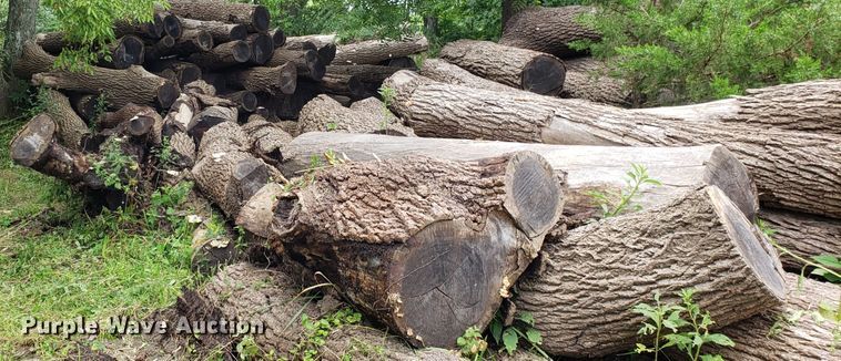 image for item ET9892 Approximately 85 walnut logs