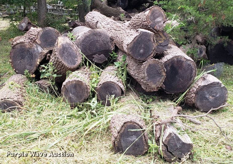 image for item ET9892 Approximately 85 walnut logs