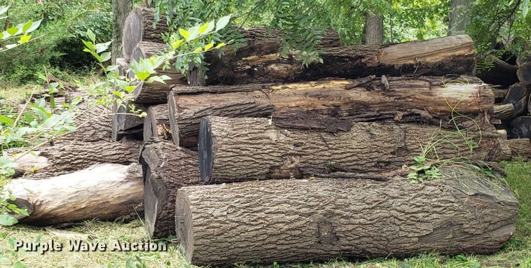 image for item ET9892 Approximately 85 walnut logs