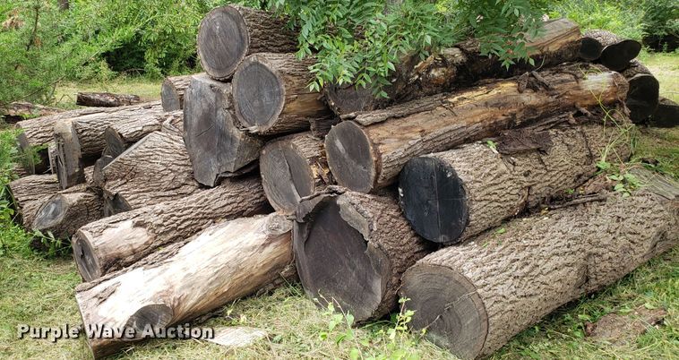 image for item ET9892 Approximately 85 walnut logs