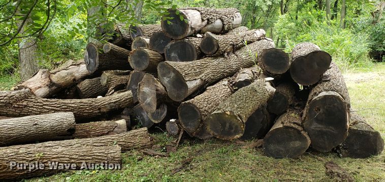 image for item ET9892 Approximately 85 walnut logs