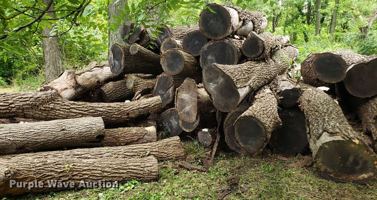image for item ET9892 Approximately 85 walnut logs