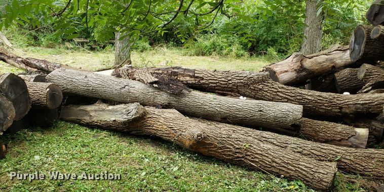 image for item ET9892 Approximately 85 walnut logs
