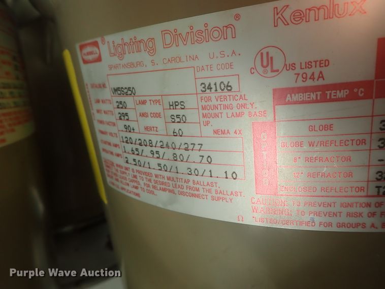 image for item FR9433 Approximately 105 lights