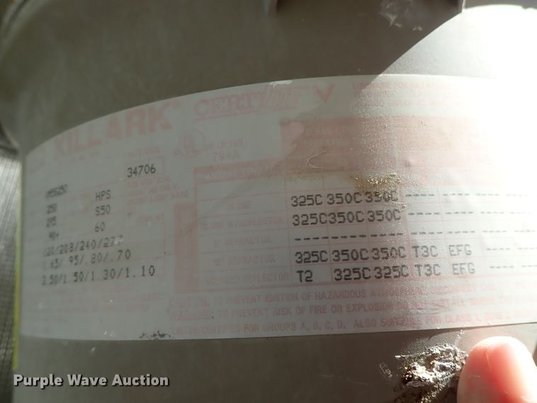 image for item FR9433 Approximately 105 lights