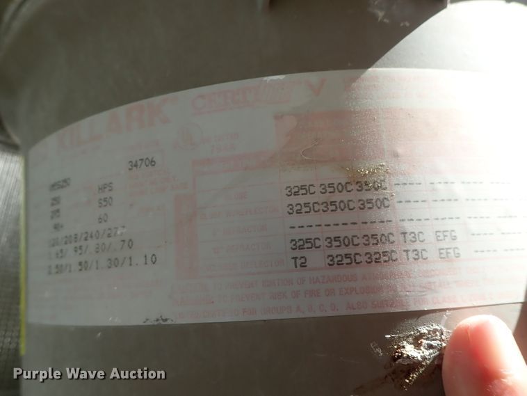 image for item FR9433 Approximately 105 lights