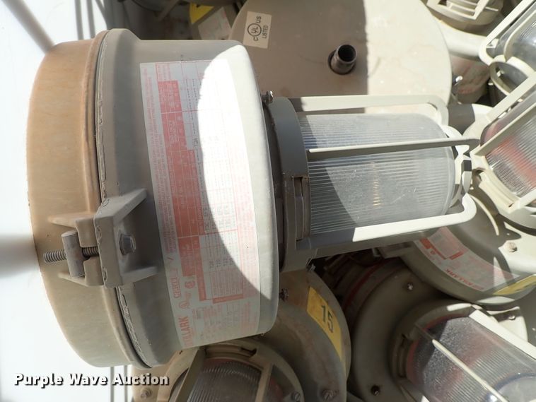 image for item FR9433 Approximately 105 lights