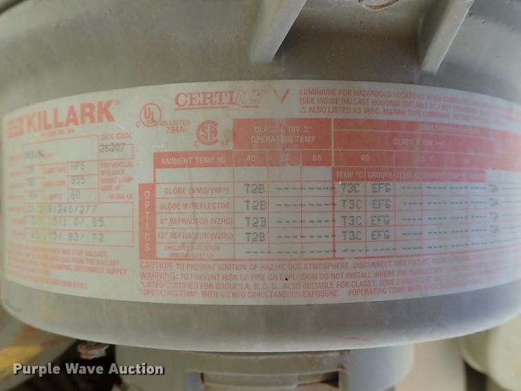 image for item FR9433 Approximately 105 lights