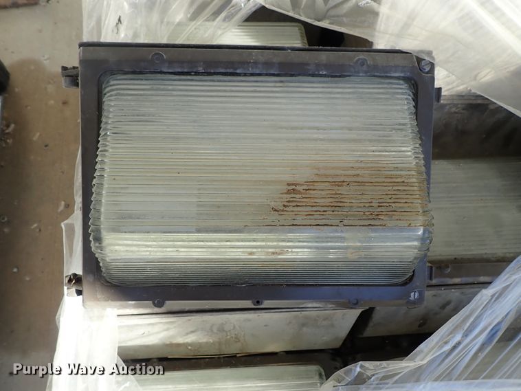 image for item FR9433 Approximately 105 lights