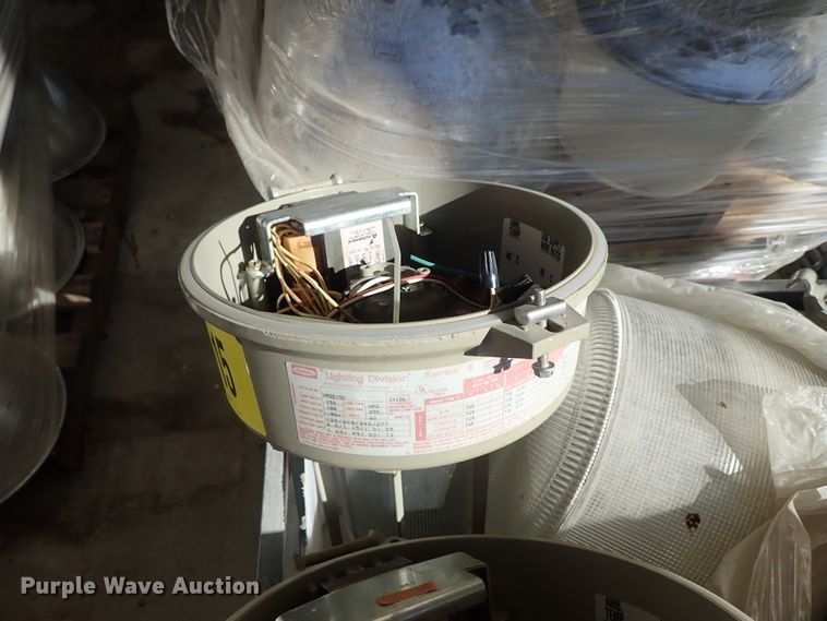 image for item FR9433 Approximately 105 lights