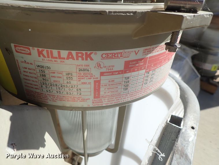 image for item FR9433 Approximately 105 lights