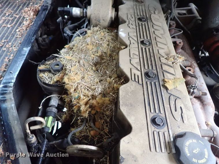 image for item DB7720 1999 Blue Bird TC2000 school bus