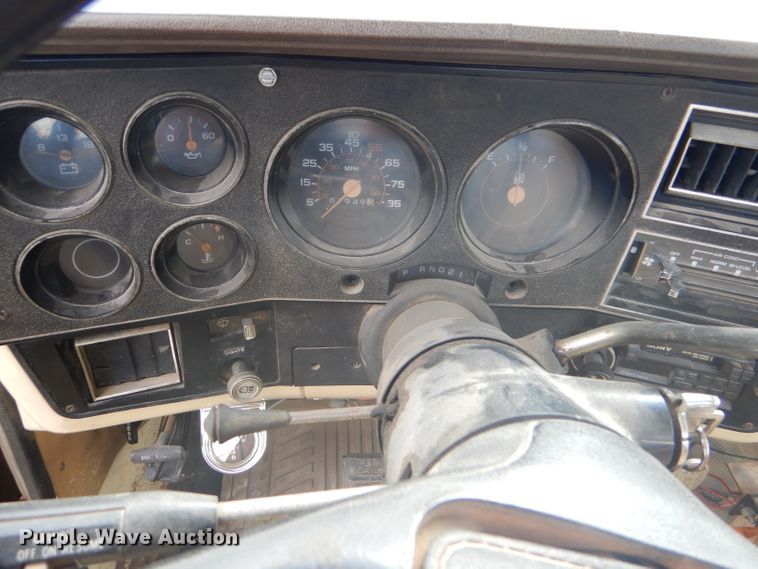 image for item FJ9754 1981 Chevrolet Custom Deluxe 20 pickup truck