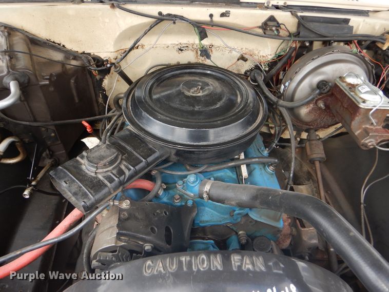 image for item FJ9754 1981 Chevrolet Custom Deluxe 20 pickup truck