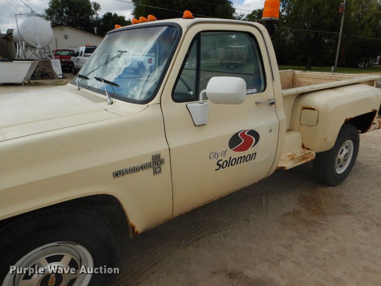 image for item FJ9754 1981 Chevrolet Custom Deluxe 20 pickup truck