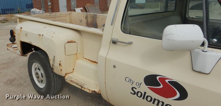 image for item FJ9754 1981 Chevrolet Custom Deluxe 20 pickup truck