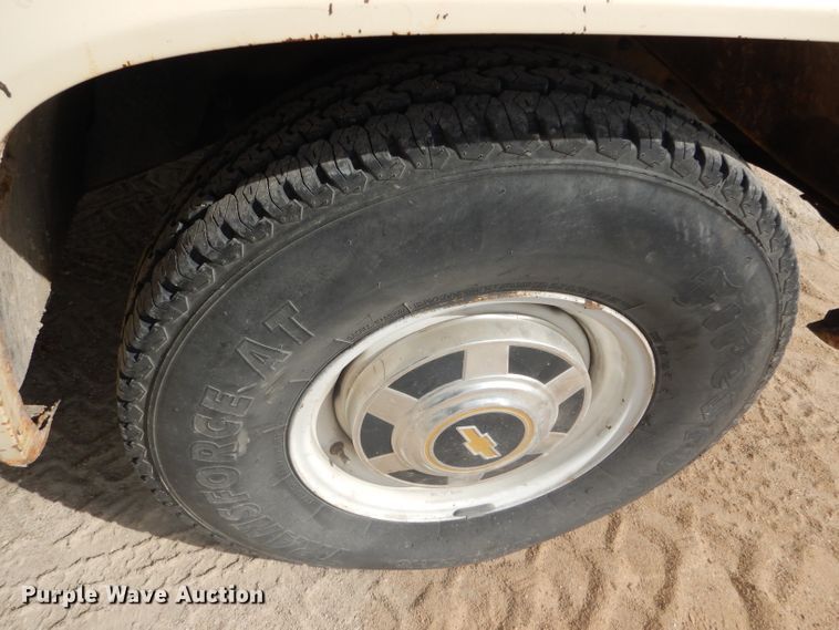 image for item FJ9754 1981 Chevrolet Custom Deluxe 20 pickup truck