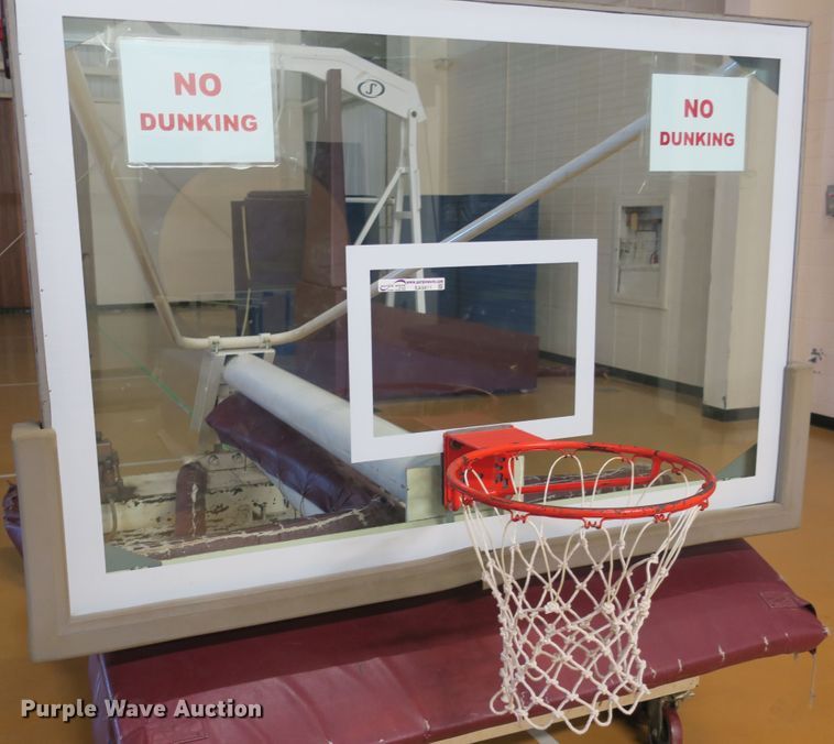 image for item EA9411 Hydra-Goal basketball goal